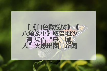 《白色橄榄树》《八角笼中》取景地沙湾 凭借“景、城、人”火爆出圈丨新闻发布最前线