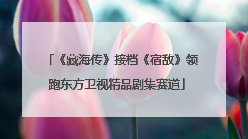《藏海传》接档《宿敌》领跑东方卫视精品剧集赛道