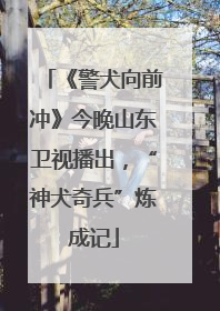 《警犬向前冲》今晚山东卫视播出，“神犬奇兵”炼成记