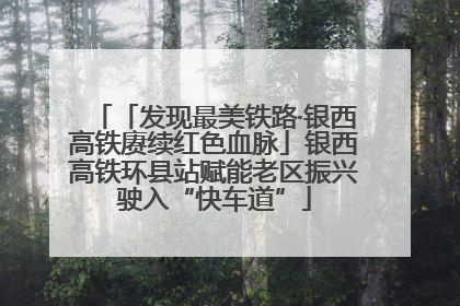 「发现最美铁路·银西高铁赓续红色血脉」银西高铁环县站赋能老区振兴驶入“快车道”