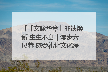「文脉华章」非遗焕新 生生不息｜漫步六尺巷 感受礼让文化浸润的“巷”往生活