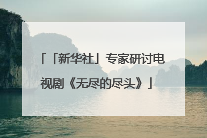 「新华社」专家研讨电视剧《无尽的尽头》