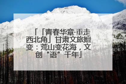 「青春华章·重走西北角」甘肃文旅嬗变：荒山变花海，文创“语”千年