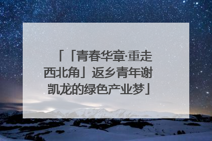 「青春华章·重走西北角」返乡青年谢凯龙的绿色产业梦