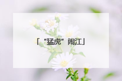 “猛虎”闹江