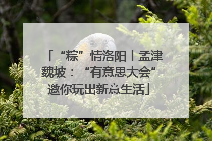 “粽”情洛阳丨孟津魏坡：“有意思大会”邀你玩出新意生活