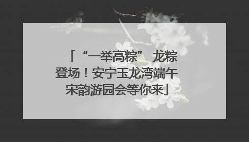 “一举高粽” 龙粽登场！安宁玉龙湾端午宋韵游园会等你来