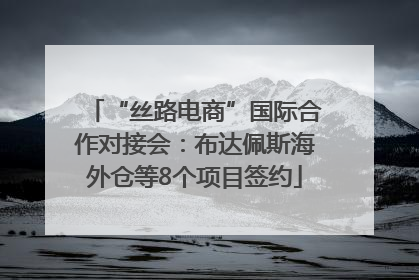 “丝路电商”国际合作对接会：布达佩斯海外仓等8个项目签约