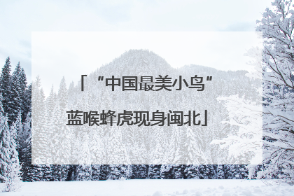 “中国最美小鸟”蓝喉蜂虎现身闽北