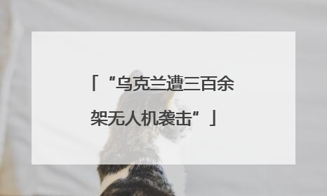 “乌克兰遭三百余架无人机袭击”