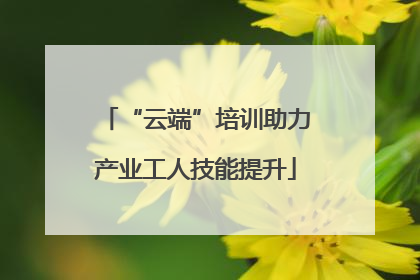 “云端”培训助力产业工人技能提升