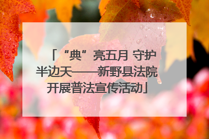 “典”亮五月 守护半边天——新野县法院开展普法宣传活动