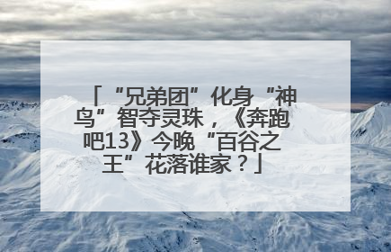 “兄弟团”化身“神鸟”智夺灵珠，《奔跑吧13》今晚“百谷之王”花落谁家？