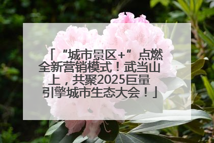 “城市景区+”点燃全新营销模式！武当山上，共聚2025巨量引擎城市生态大会！
