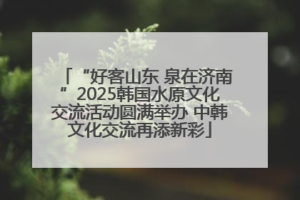 “好客山东 泉在济南”2025韩国水原文化交流活动圆满举办 中韩文化交流再添新彩