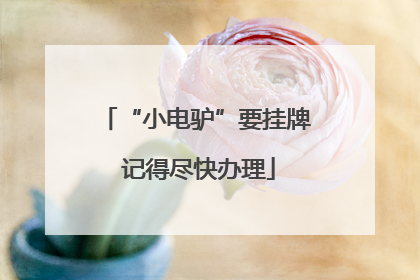 “小电驴”要挂牌 记得尽快办理