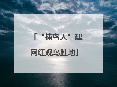 “捕鸟人”建网红观鸟胜地