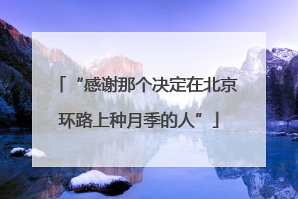 “感谢那个决定在北京环路上种月季的人”