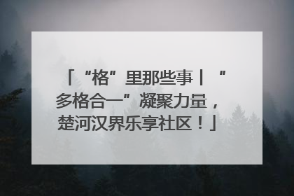 “格”里那些事丨“多格合一”凝聚力量，楚河汉界乐享社区！
