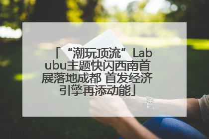 “潮玩顶流”Labubu主题快闪西南首展落地成都 首发经济引擎再添动能