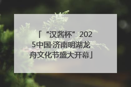 “汉酱杯”2025中国·济南明湖龙舟文化节盛大开幕