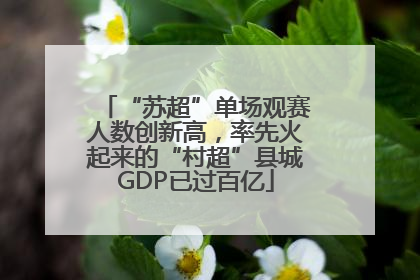 “苏超”单场观赛人数创新高，率先火起来的“村超”县城GDP已过百亿