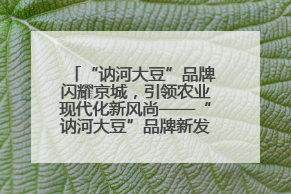 “讷河大豆”品牌闪耀京城，引领农业现代化新风尚——“讷河大豆”品牌新发地推介会圆满落幕