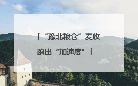 “豫北粮仓”麦收跑出“加速度”