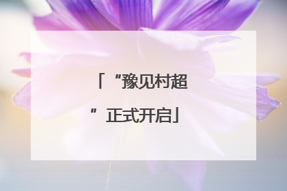 “豫见村超”正式开启
