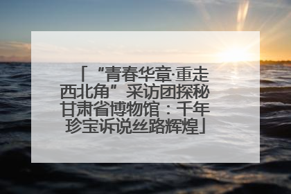 “青春华章·重走西北角”采访团探秘甘肃省博物馆：千年珍宝诉说丝路辉煌