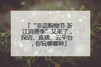 “非遗购物节·浙江消费季”又来了，探店、直播、云平台，你玩哪哪种