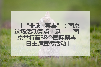 “非遗+禁毒”：南京这场活动亮点十足——南京举行第38个国际禁毒日主题宣传活动