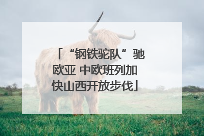 “钢铁驼队”驰欧亚 中欧班列加快山西开放步伐
