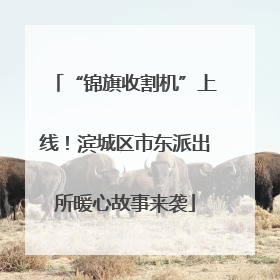 “锦旗收割机”上线！滨城区市东派出所暖心故事来袭