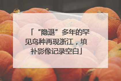 “隐退”多年的罕见鸟种再现浙江，填补影像记录空白