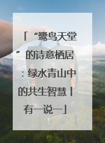 “鹭鸟天堂”的诗意栖居：绿水青山中的共生智慧丨有一说一