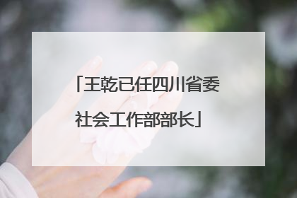 王乾已任四川省委社会工作部部长