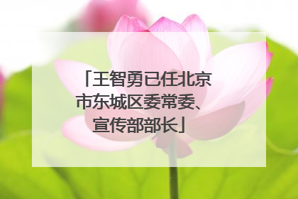 王智勇已任北京市东城区委常委、宣传部部长