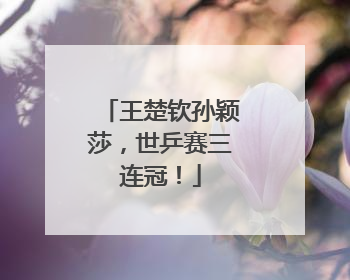 王楚钦孙颖莎，世乒赛三连冠！
