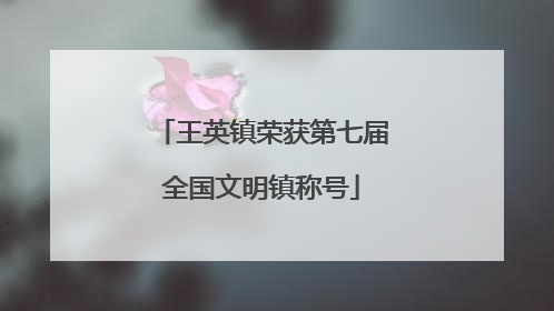 王英镇荣获第七届全国文明镇称号