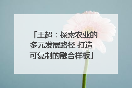 王超：探索农业的多元发展路径 打造可复制的融合样板
