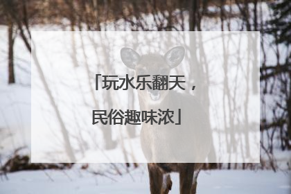 玩水乐翻天，民俗趣味浓