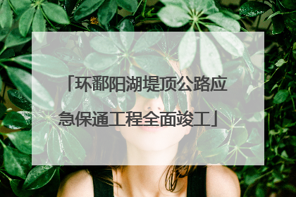 环鄱阳湖堤顶公路应急保通工程全面竣工