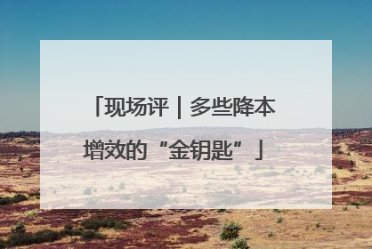 现场评｜多些降本增效的“金钥匙”