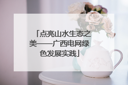 点亮山水生态之美——广西电网绿色发展实践
