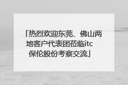 热烈欢迎东莞、佛山两地客户代表团莅临itc保伦股份考察交流