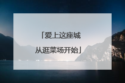 爱上这座城 从逛菜场开始