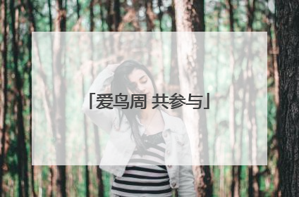 爱鸟周 共参与