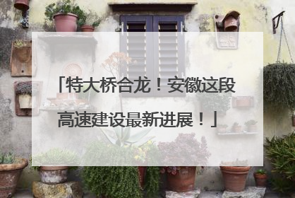 特大桥合龙！安徽这段高速建设最新进展！