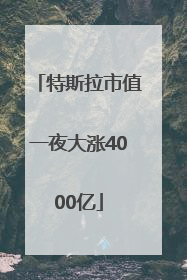 特斯拉市值一夜大涨4000亿